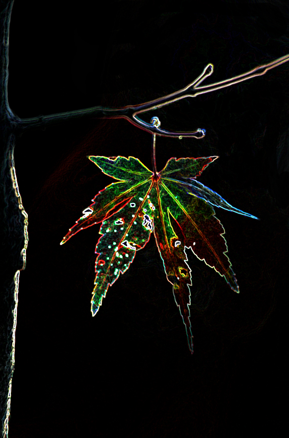 d0209988_20443379.jpg