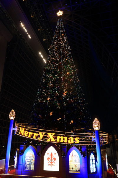 e0051888_23361374.jpg