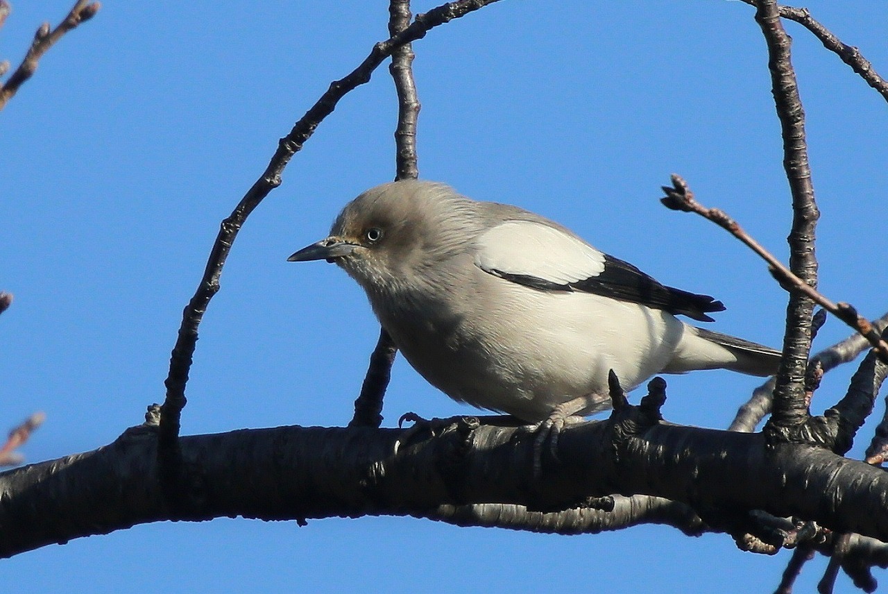 f0296999_18154457.jpg