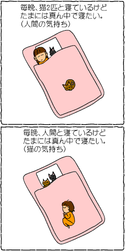 c0011300_219814.gif