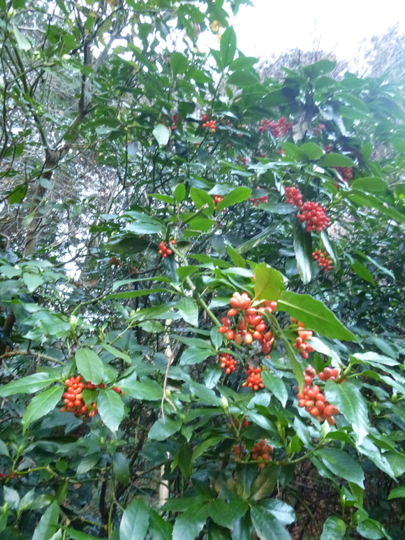 d0170615_11172951.jpg