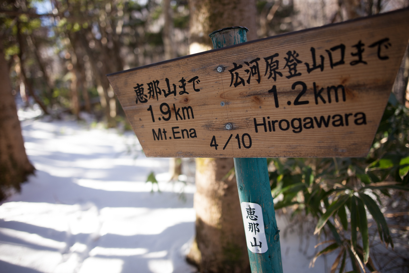 c0369219_00461000.jpg