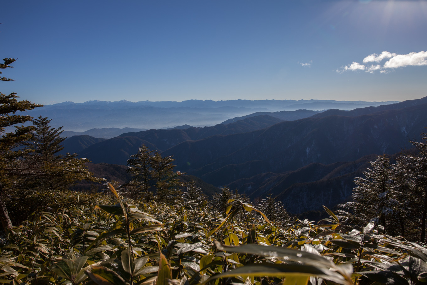 c0369219_12581555.jpg