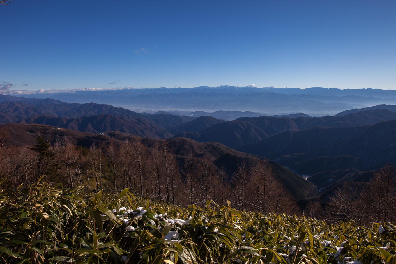 c0369219_16104655.jpg