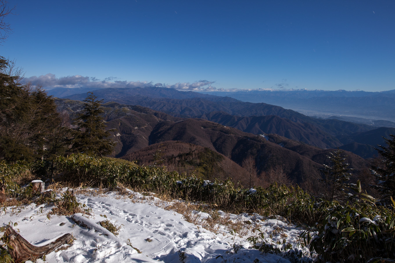 c0369219_16443448.jpg