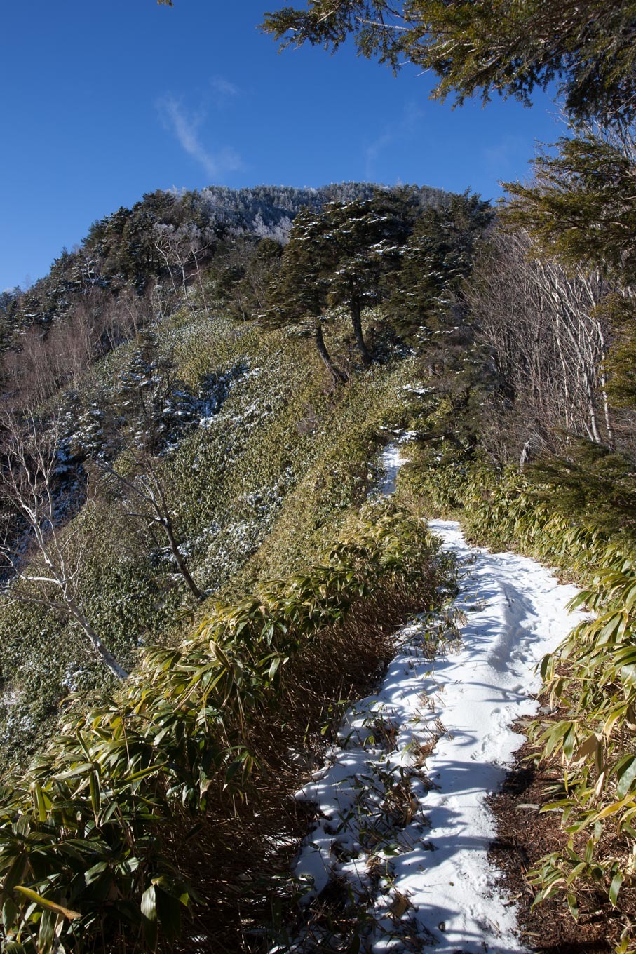 c0369219_16481274.jpg