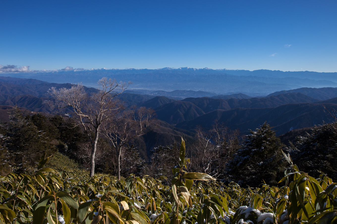 c0369219_16550929.jpg