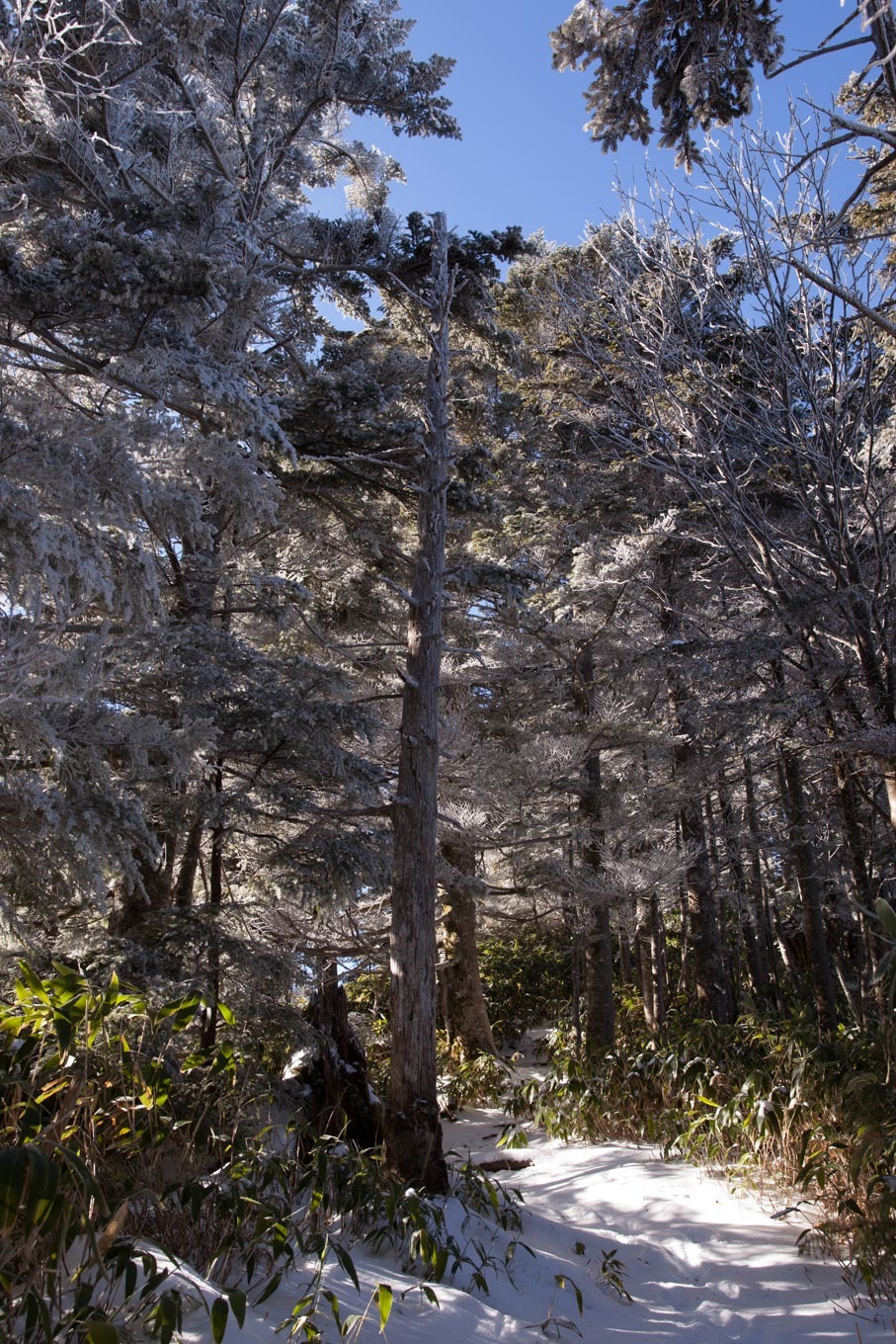 c0369219_18414279.jpg