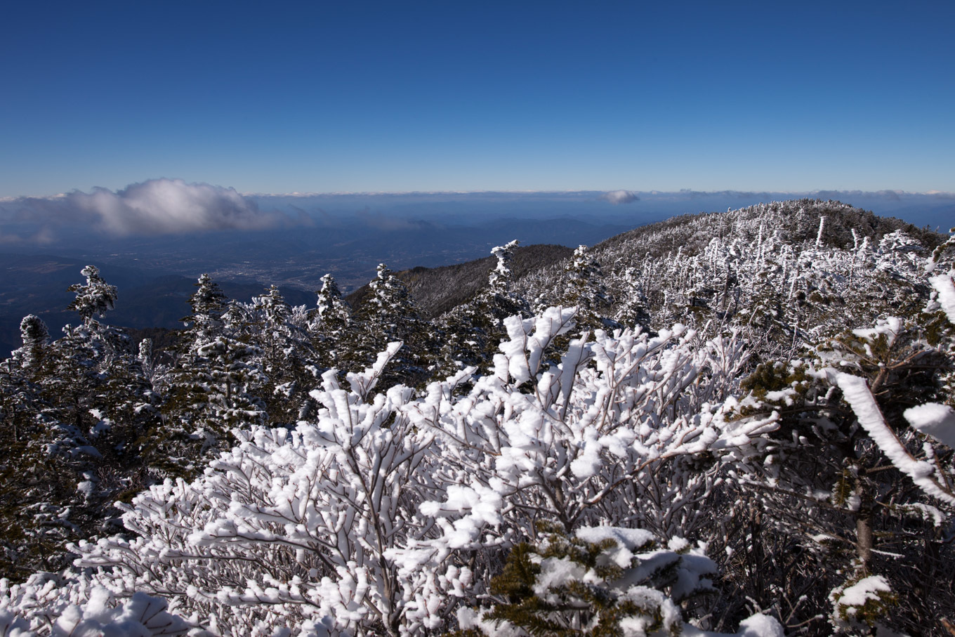 c0369219_20495950.jpg