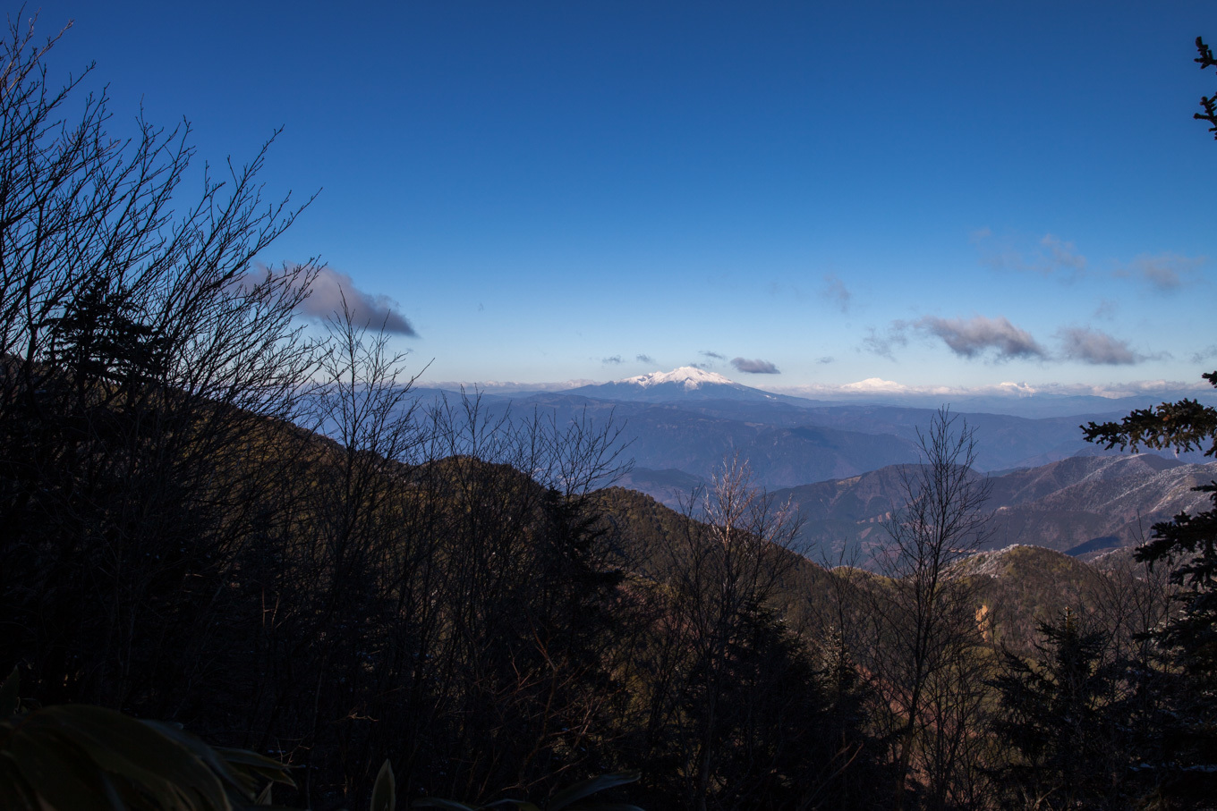 c0369219_21574626.jpg