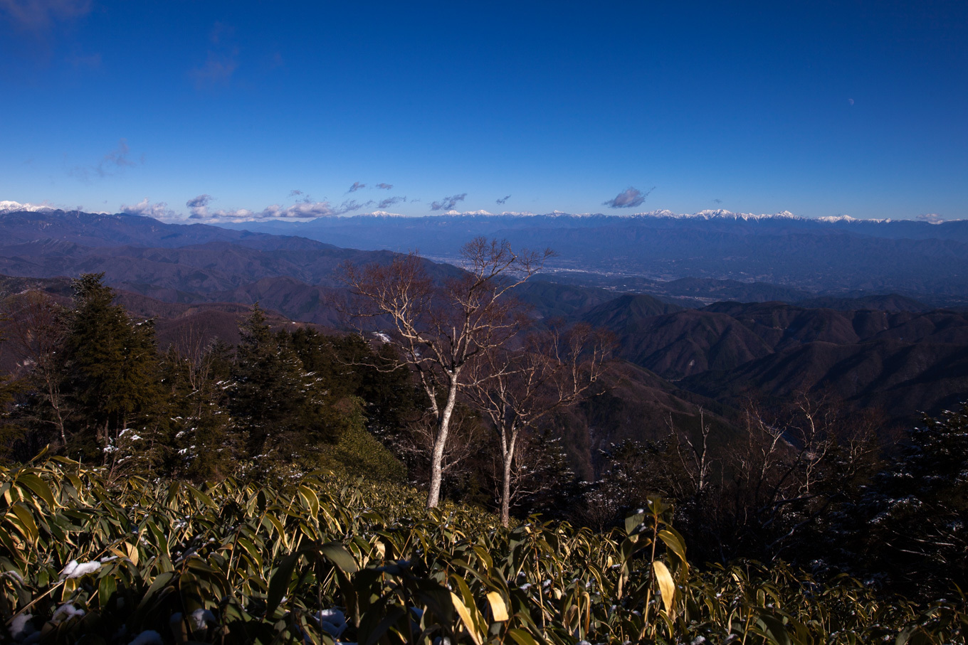 c0369219_22440733.jpg