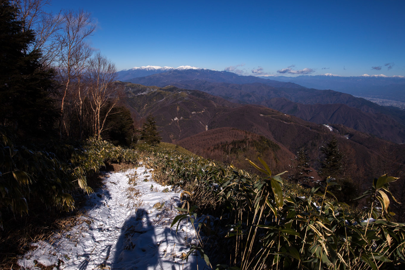 c0369219_22455477.jpg