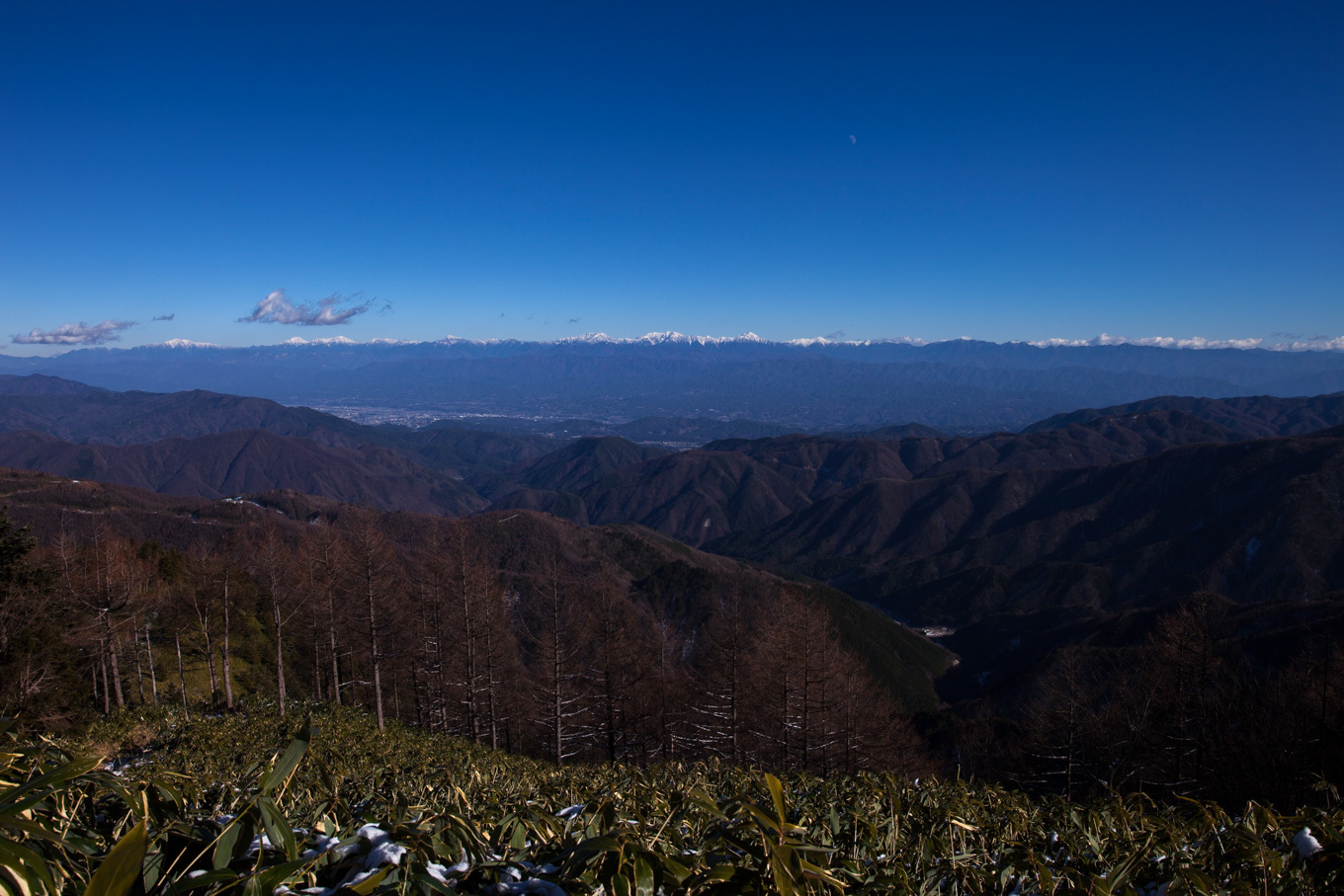 c0369219_22520315.jpg