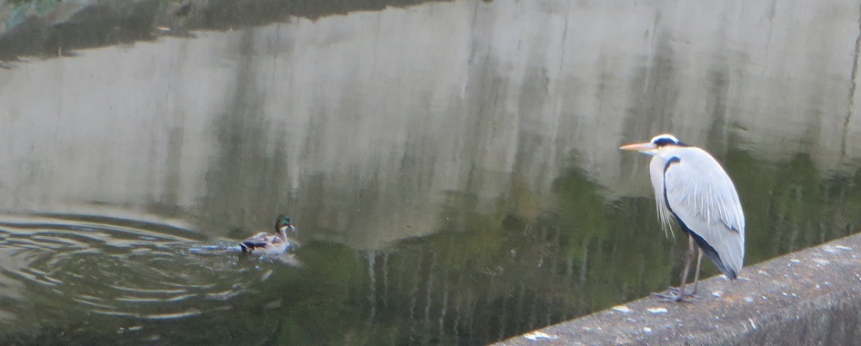 c0280322_22012618.jpg