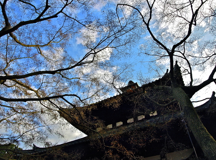 f0315034_15385779.jpg