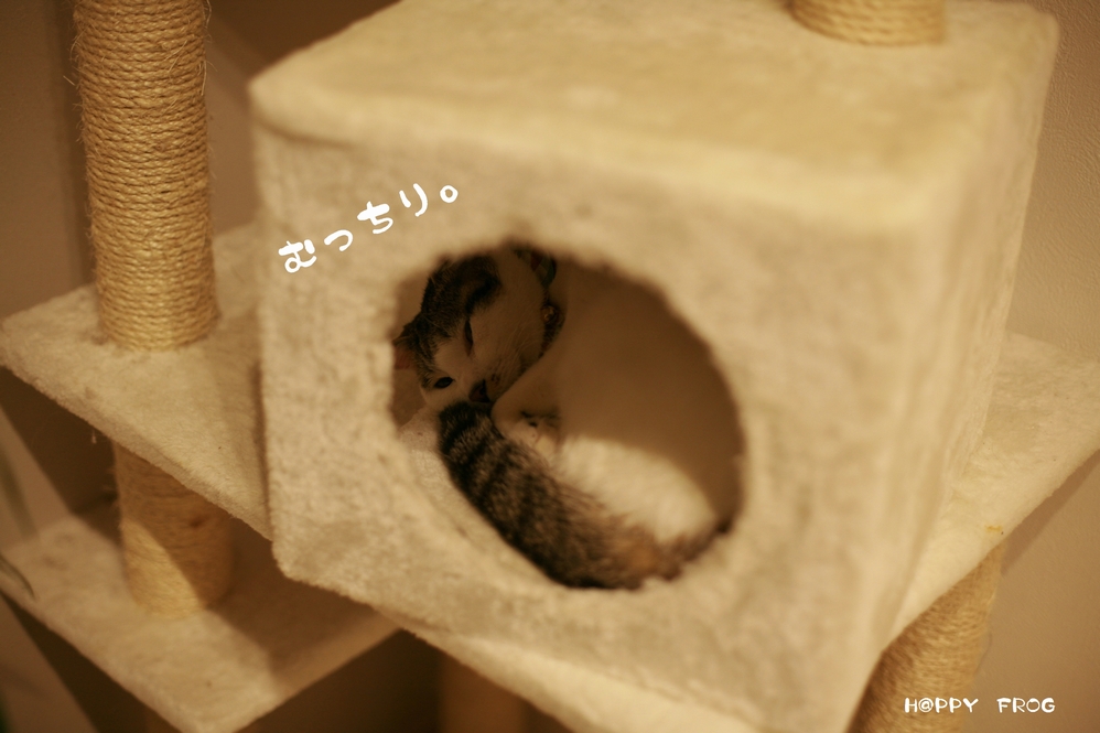 f0032042_3165879.jpg