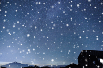 d0169556_928623.gif