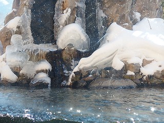 e0004756_21351185.jpg