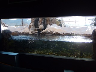 e0004756_21353276.jpg