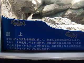 e0004756_22114825.jpg