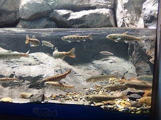 e0004756_2262339.jpg