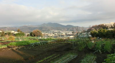 f0014756_2137869.jpg