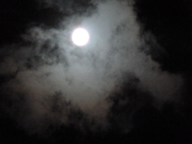 e0278968_23182917.jpg