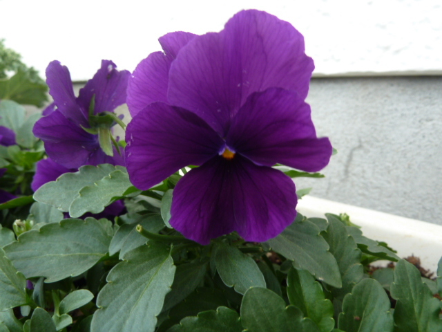 e0278968_23211264.jpg