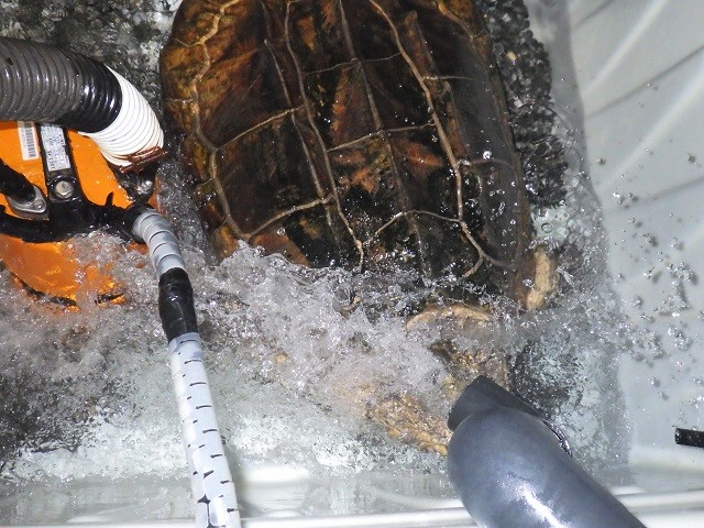 c0105569_24347.jpg