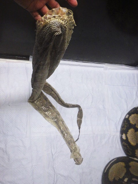 c0105569_245232.jpg