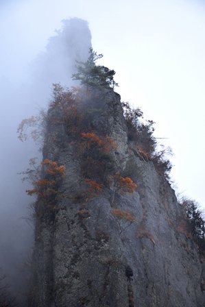 f0342371_2254540.jpg
