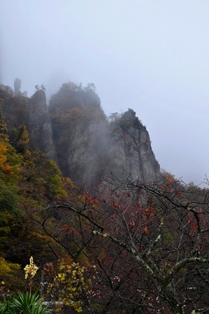 f0342371_2255684.jpg