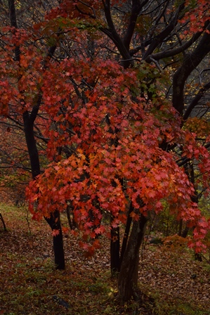 f0342371_2262059.jpg
