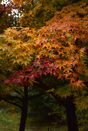 f0342371_2264553.jpg