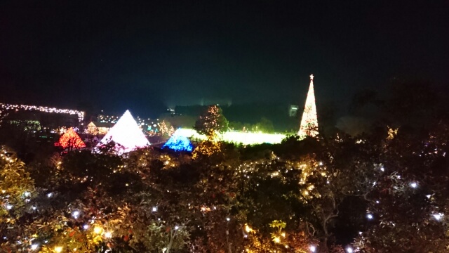 c0096582_16292923.jpg