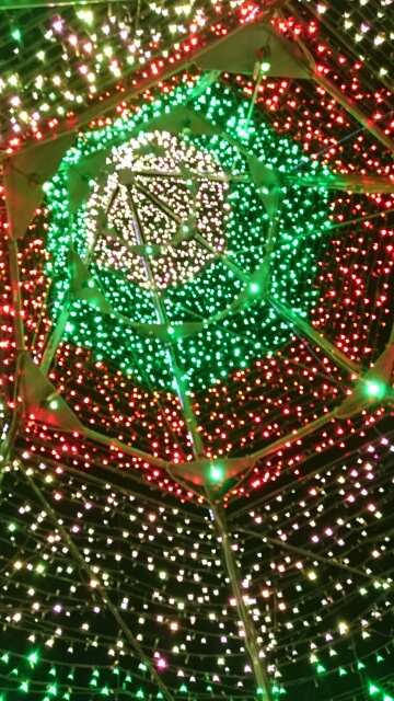 c0096582_16333671.jpg