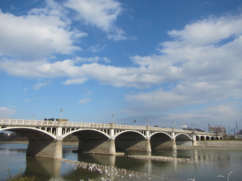 a0251786_17554457.jpg