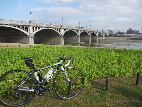 a0251786_1756442.jpg