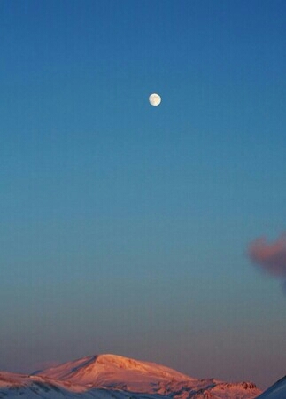 b0163088_08250859.jpg