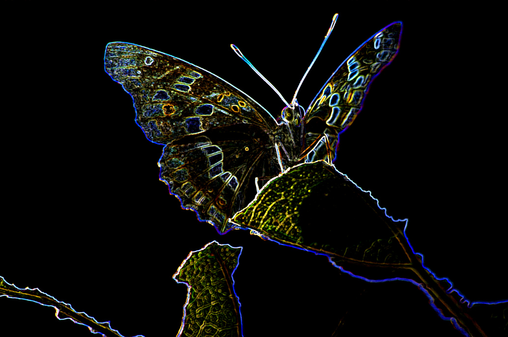 d0209988_20593640.jpg