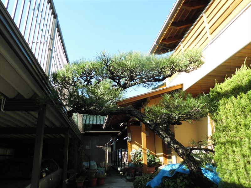 c0108198_17275922.jpg