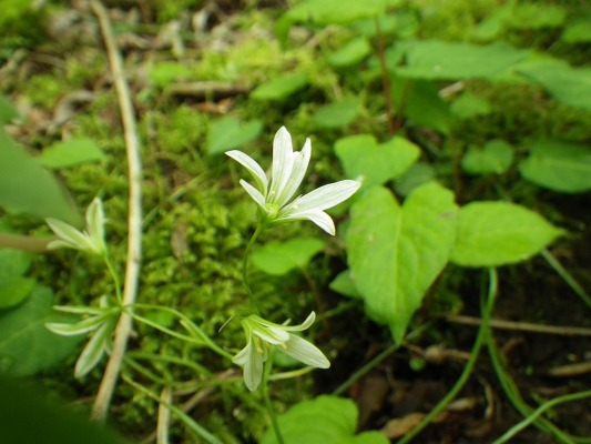 f0187402_20531593.jpg