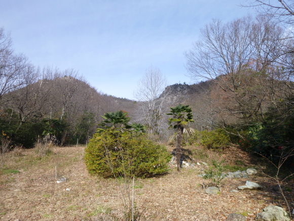 d0170615_18435718.jpg