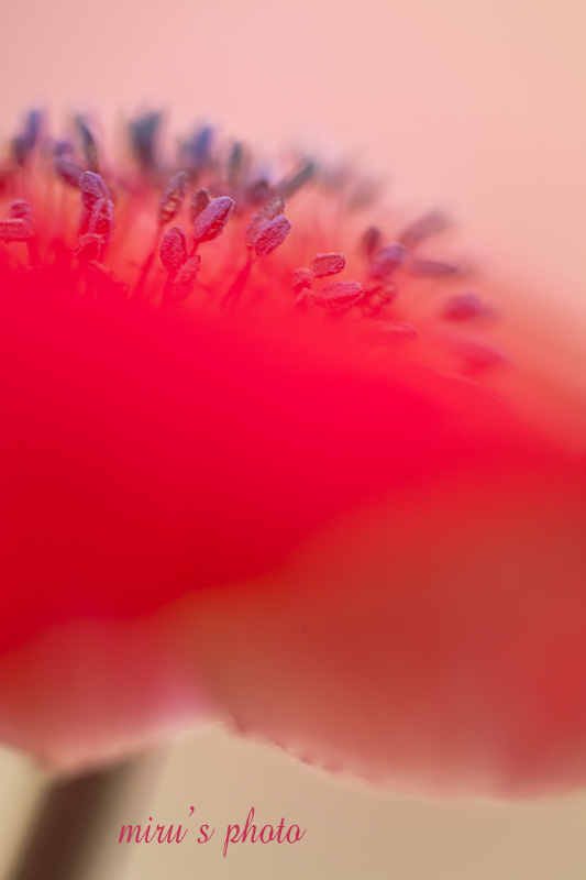 c0037519_22302622.jpg