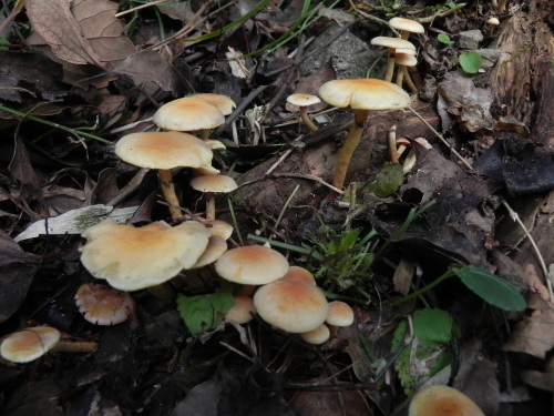 e0352220_22081420.jpg