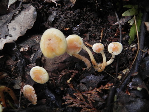 e0352220_22085748.jpg
