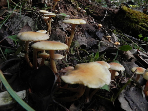 e0352220_22092959.jpg