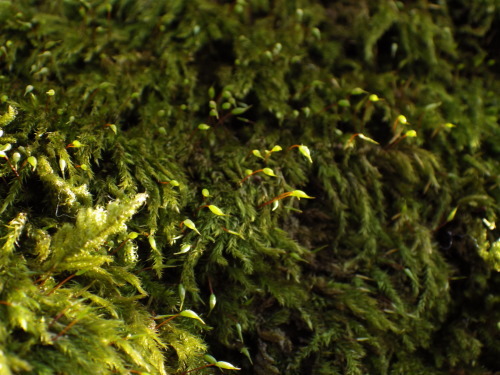 e0352220_22133057.jpg