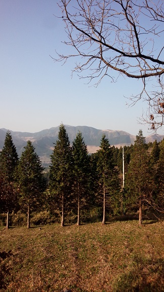 f0031420_1056847.jpg