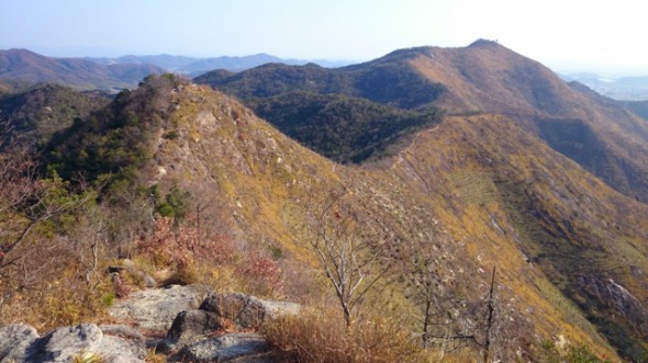 b0148050_22331897.jpg